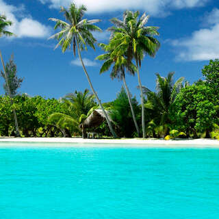 Palm beach 2