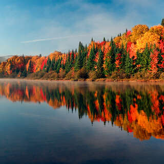 Lake forest autumn 2