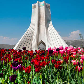 Azadi tower, tulips