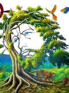 Божественное дерево