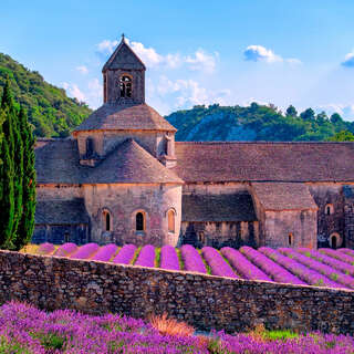 Senanque monastery, Provence